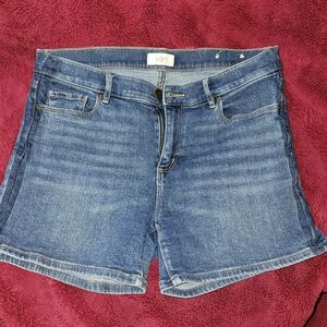 LOFT Medium Blue Denim Jean Shorts